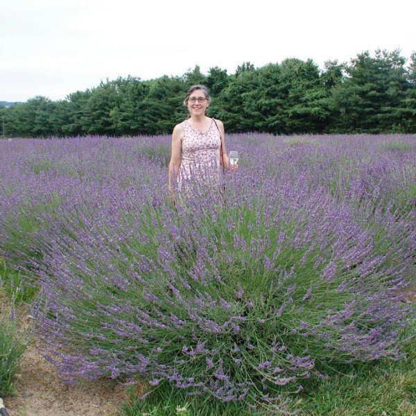 Phenomenal Lavender - Image 5